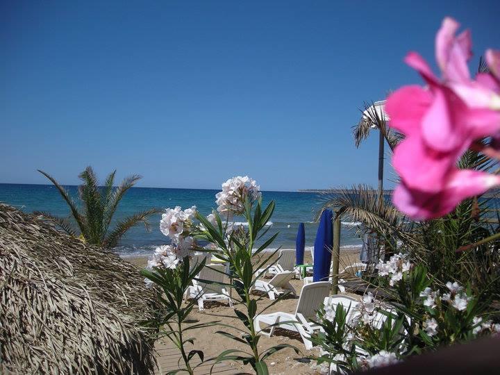Vista Mare Apartment Trappeto  Luaran gambar